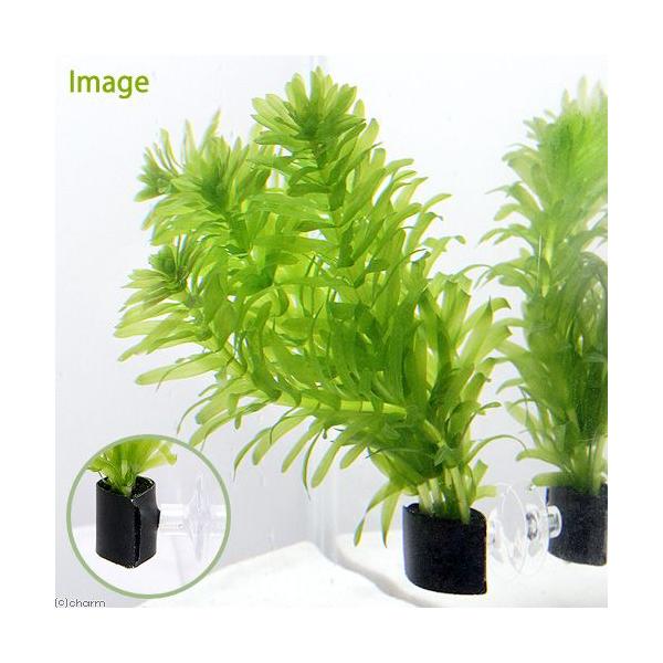 ij_JE@Y@_AiJX@@AJi_jiPj