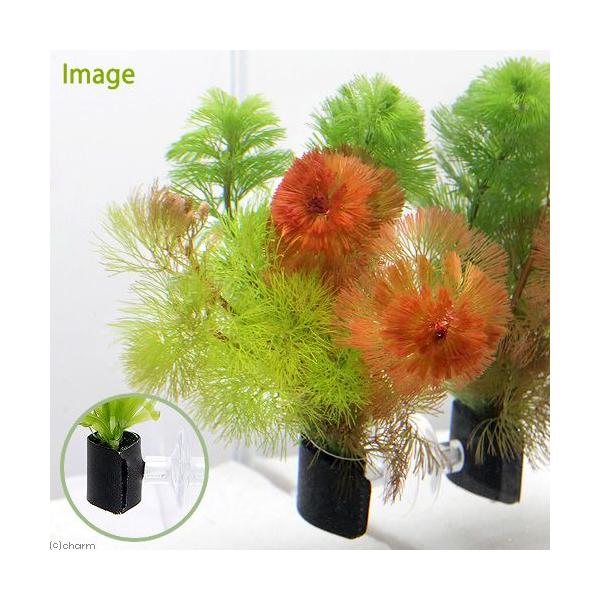 ij_JE@J{o~bNX@@AJiPj