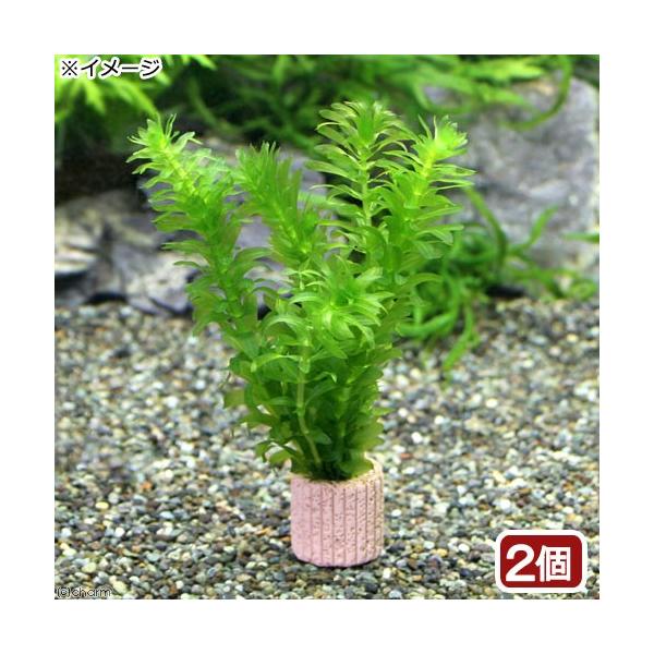 ij_JE@Y@Ct}`ij_AiJXiQj