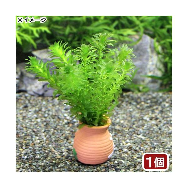 ij_JE@Y@^Rc{~j~j@_AiJXiPj