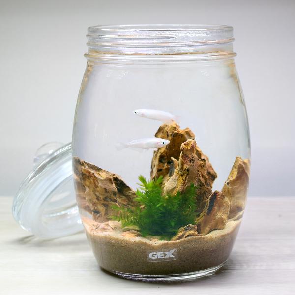 魚 ボトル 水草の人気商品 通販 価格比較 価格 Com