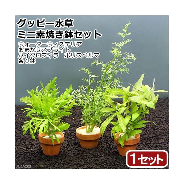 ijObs[p@~jfĂZbgiPZbgj