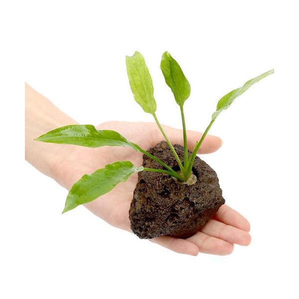 ijuȒP@rTCY@A}]\[h@nΕti_jiPj