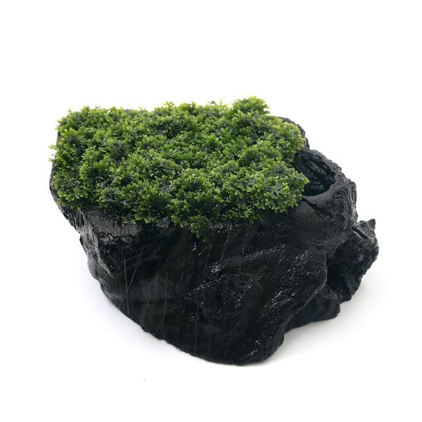 ij琬ρ@v~AO[X@؂芔؂knv^Cv@MTCYitji_jiPj