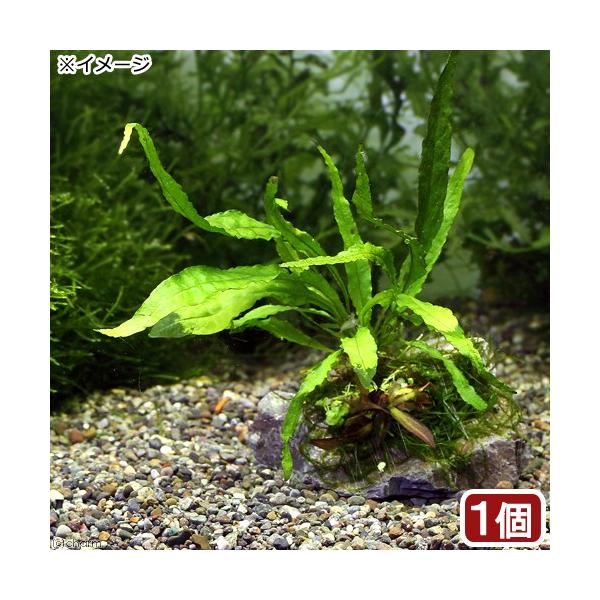 ij̐i@R΁@D~N\EiPj