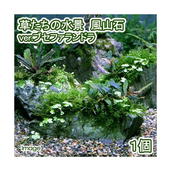 ijā@̐i@R΁@uDuZt@hi_jiPj@kCEBq֗vۉ