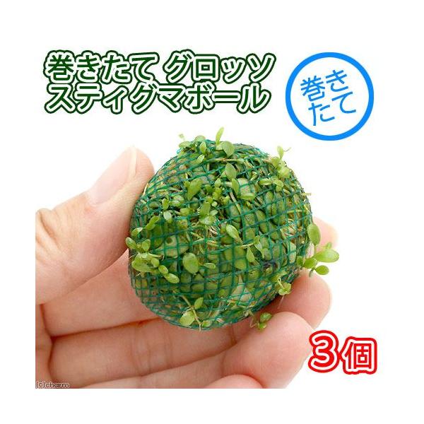 ijā@Ob\XeBO}{[itji_jiRj