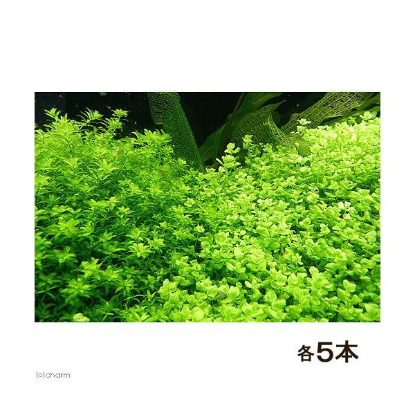 ij[Wp[OXitji_jiT{j{p[OXitji_jiT{j