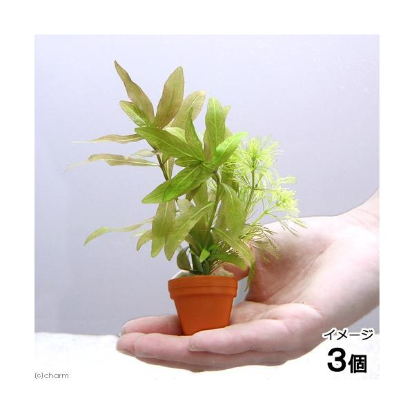 ijv`fĂ@~bNXitjiRj