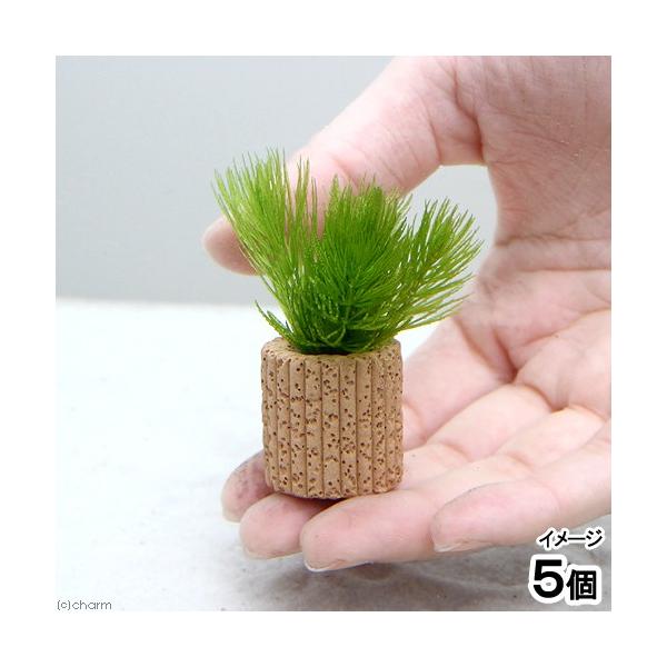 ijCt}`ij}c@v`i_jiTj_J@@򉻁@Y