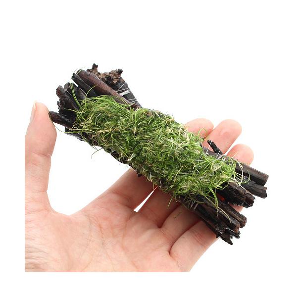 ijā@wA[OXV[g@Gritji_jiPj`ӍH[`