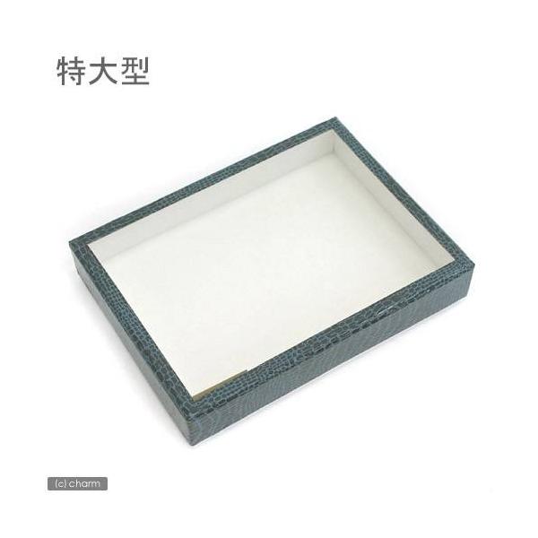 志賀昆虫ボール紙製標本箱 特大型 昆虫標本用品標本箱 Buyee Buyee 提供一站式最全面最專業現地yahoo Japan拍賣代bid代拍代購服務