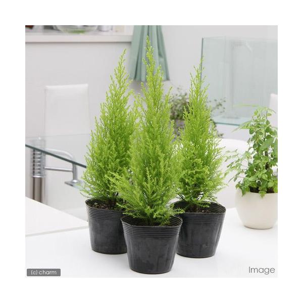 iϗtAjS[hNXg@EB}@RiP|bgj