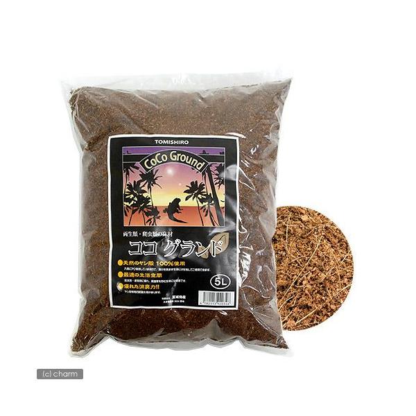 RROh@Tk@঒ށ@ꏰ@}bg