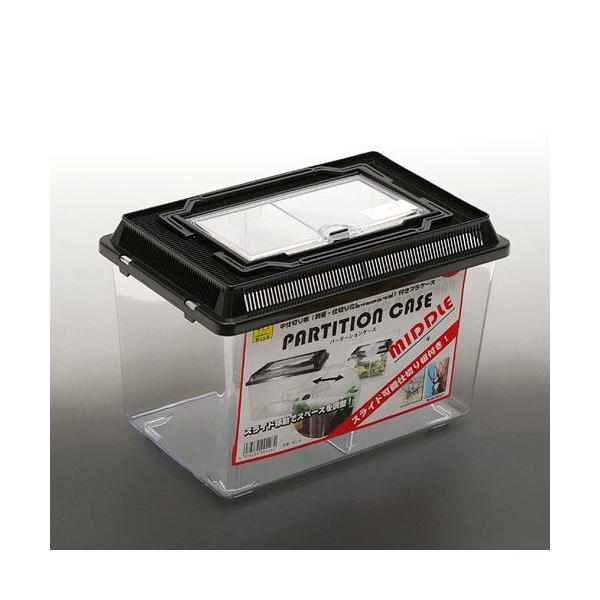 OW@p[e[VP[XijiROO×PXT×QOTjdؔt@d؂XCh@vP[X