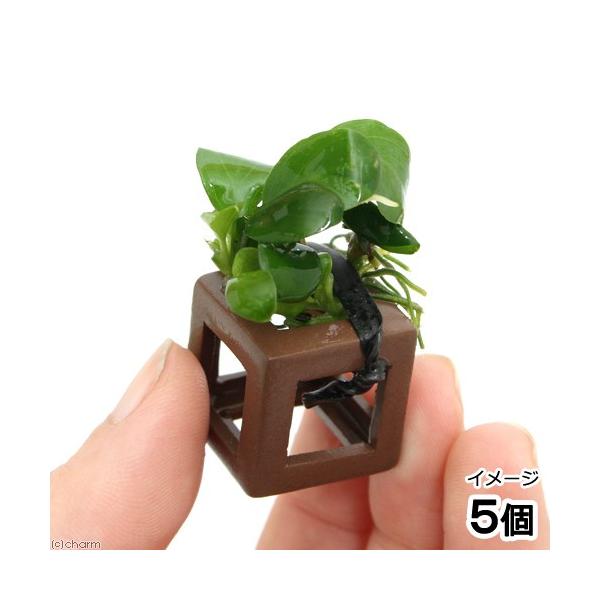 ijgD|{@Gr̉BƁ@AkrAXiititji_jiTj@kCq֗vۉ