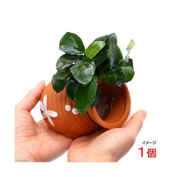 ij^Rc{@AkrAXiiitjiPj