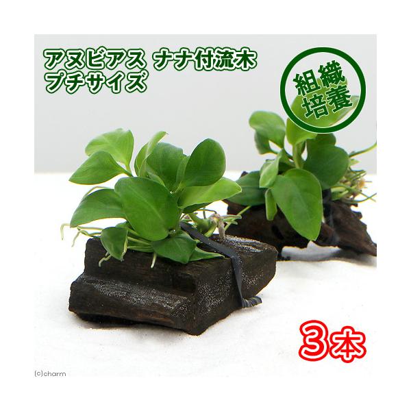 ijgD|{@AkrAXii@؁@~jTCYiR{jiWȉji_j@kCEBq֗vۉ