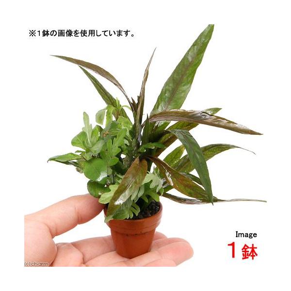 ijv`fĂ@nCO~bNXitji_jiPj