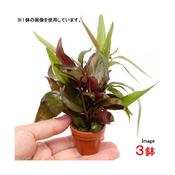 ijv`fĂ@Aeie~bNXitji_jiRj