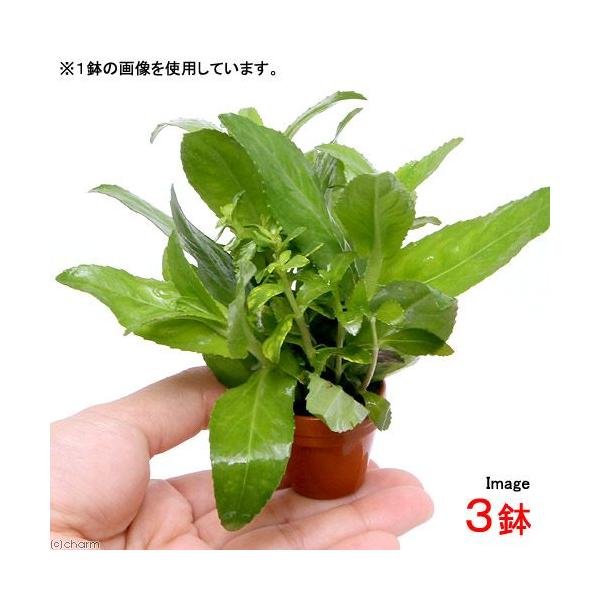 ijv`fĂ@mtB~bNXitji_jiRj