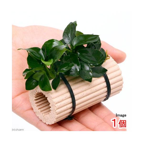 ij[W}`O@AkrAXii@v`itjiPj