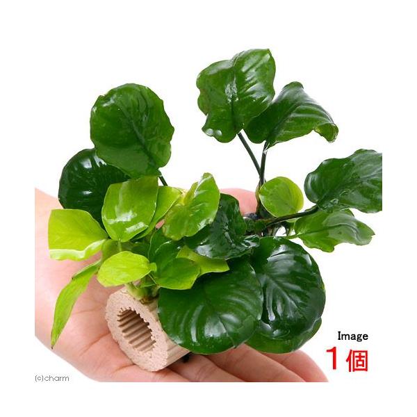 ij[W}`O@AkrAXQtiPj