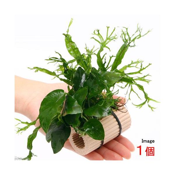 ij[W}`O@AkrAX~N\EtiPj