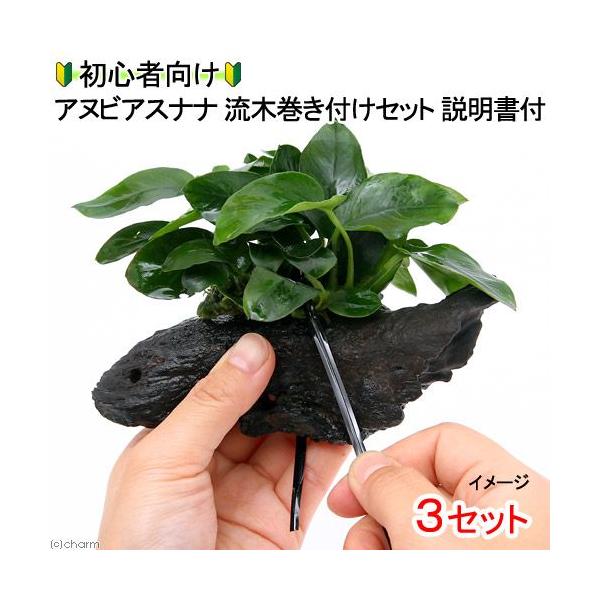 ijSҌ@AkrAXii@؊tZbgitj@tiRZbgj@{Bl