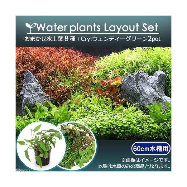 ij܂t@CAEgZbg@UOp@W{bDEFeB[O[iQ|bgjitj