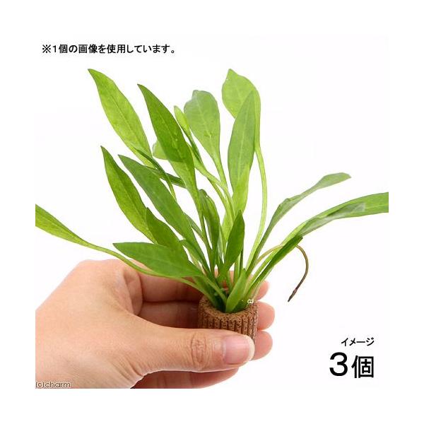 ijCt}`ij`F[A}]itji_jiRj