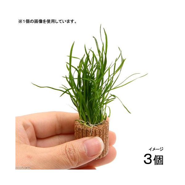 ijCt}`ijRuOX@[VXitji_jiRj