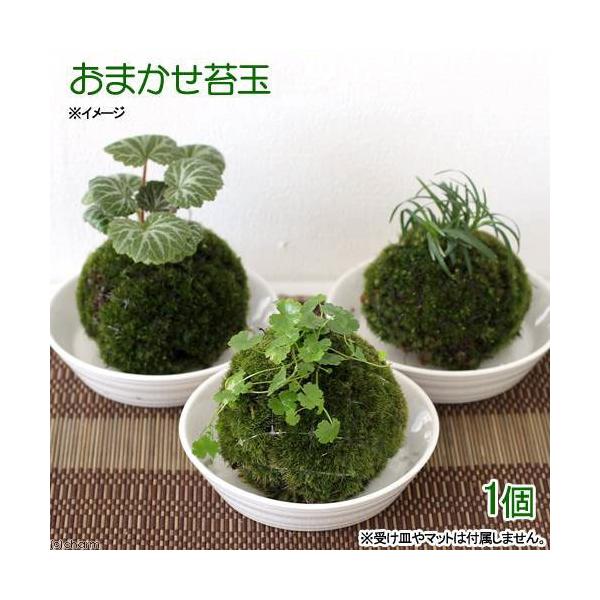 i~́jۋʁ@A܂iPjRPʁixԁj