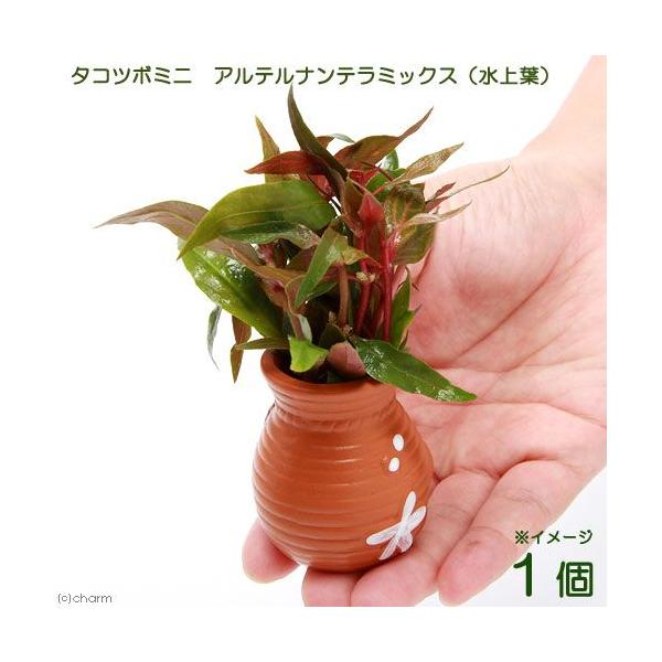 ij^Rc{~j~j@Aeie~bNXitji_jiPj