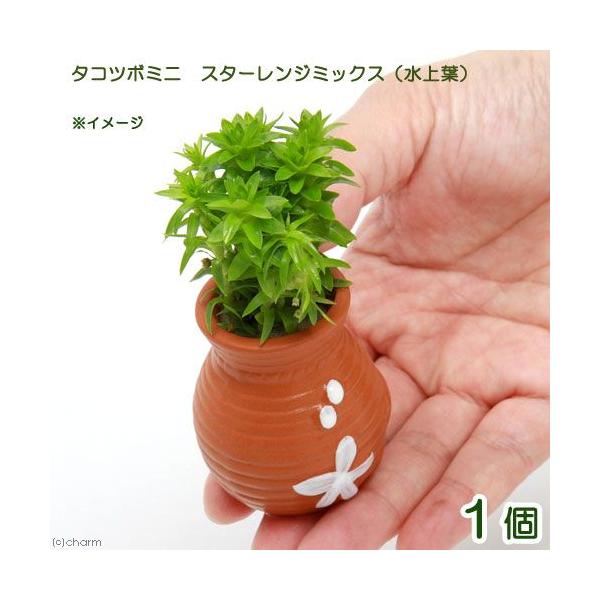 ij^Rc{~j~j@X^[W~bNXitji_jiPj