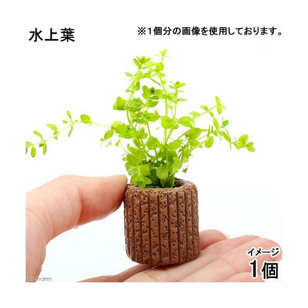 ijCt}`ijp[OX~bNXitji_jiPj