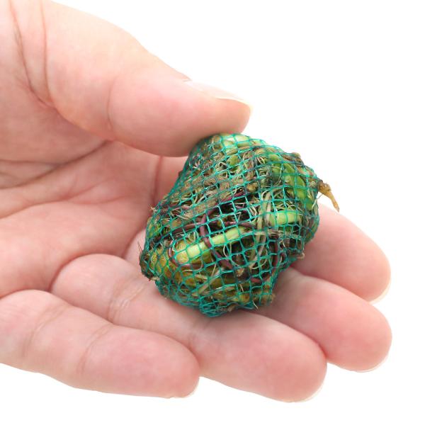 ijā@A}]`hOT{[itji_jiPj