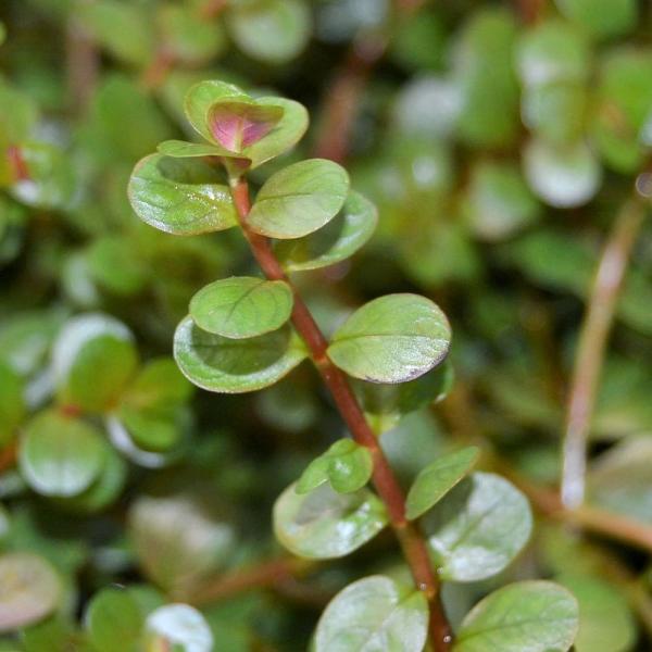 ij^@gfBtHA@IWW[Xitji_jiPO{j