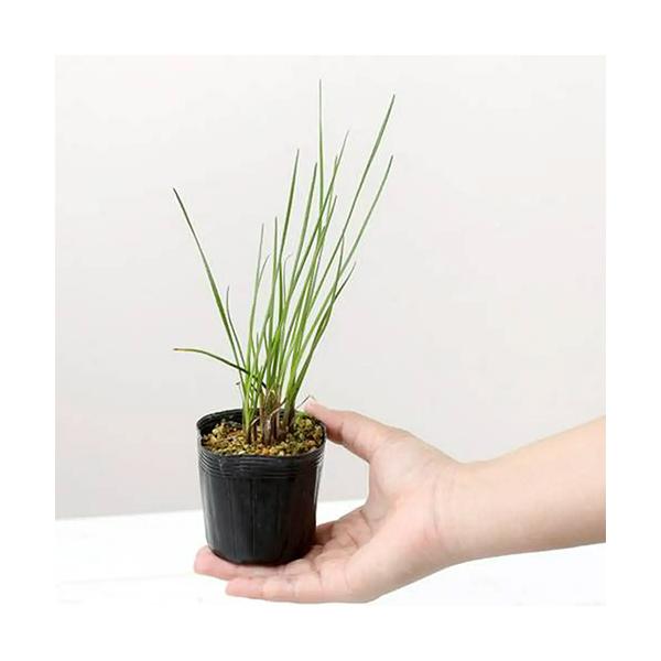 iR쑐j}bLE@QDTiP|bgj@ƒ؉ixԁj