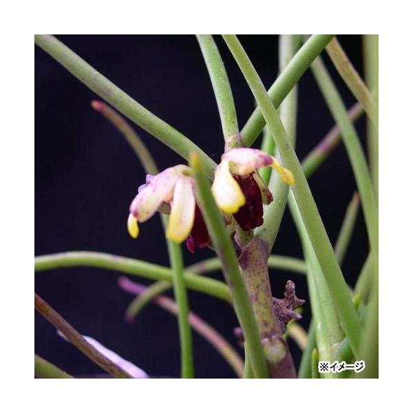 iR쑐j{Ei_j@QDTiP|bgjixԁj