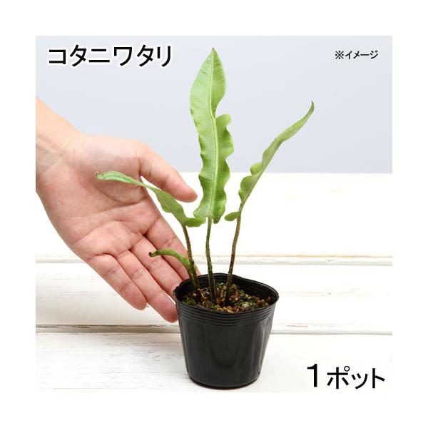 iR쑐jV_irjR^j^iJnjRiP|bgjΐN