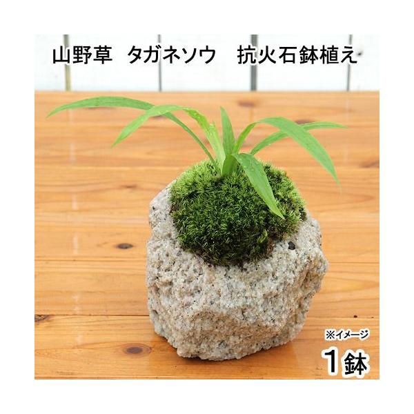 iR쑐jۖ~́@RΐΔA@^Kl\EiPjixԁj