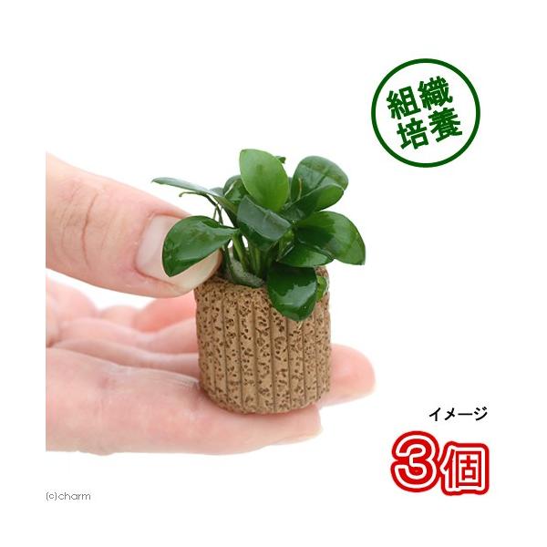 ijgD|{@Ct}`ijAkrAXiii_jiRj@kCEBq֗vۉ