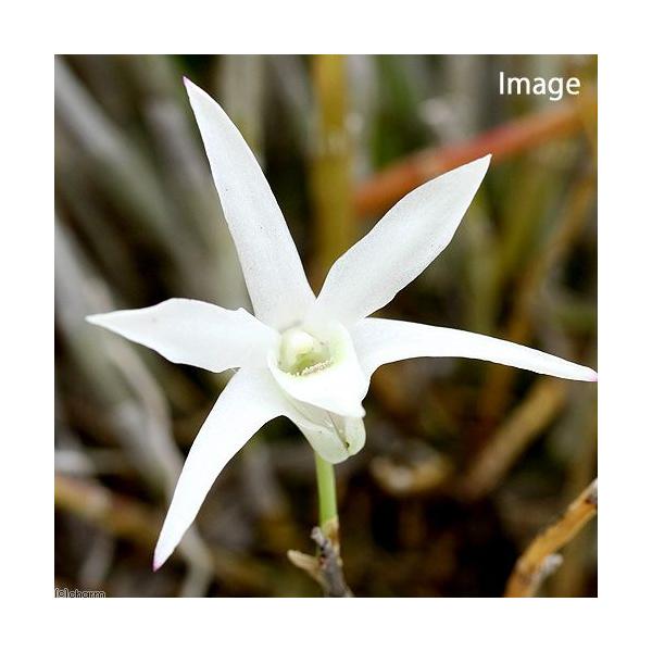 iR쑐jZbRNiΝ́Aj~jfĂ@R`T{iPjixԁj