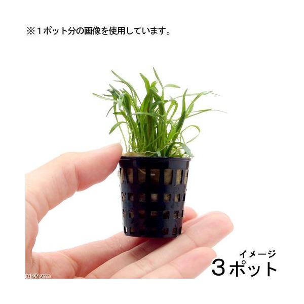 ij~j|bg@RuOXitji_jiR|bgj