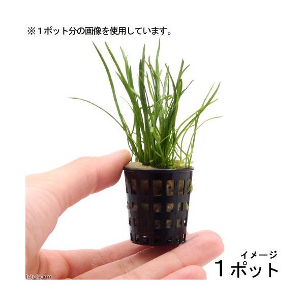 ij~j|bg@RuOX@[VXitji_jiP|bgj