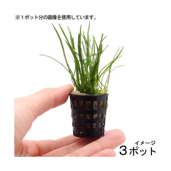 ij~j|bg@RuOX@[VXitji_jiR|bgj