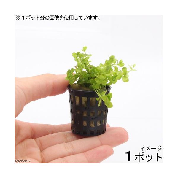 ij~j|bg@j[[Wp[OXitji_jiP|bgj