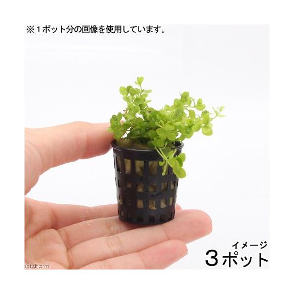 ij~j|bg@j[[Wp[OXitji_jiR|bgj