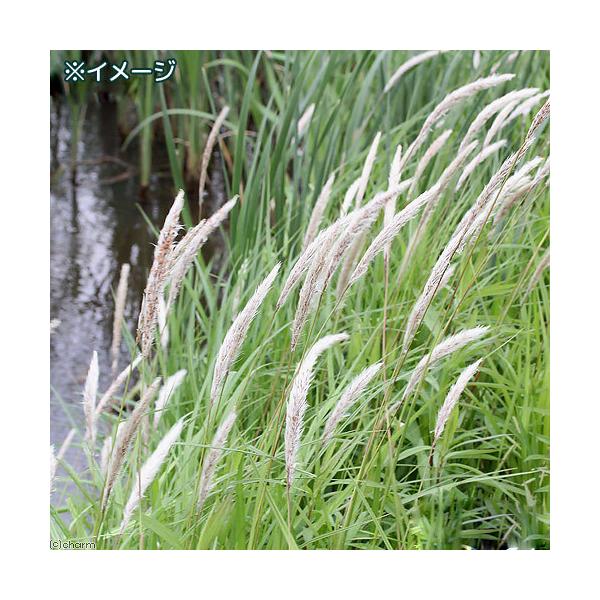 iϗtAjybg[t@`K@Ri_jiP|bgj@NK@ixԁj